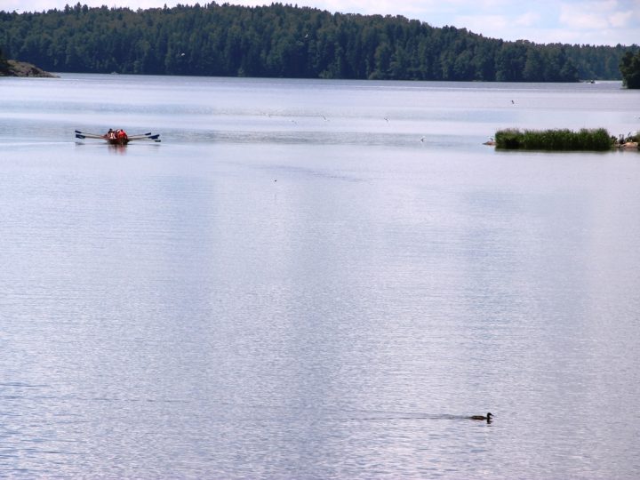 Myrsky uhkaa sähkökatkoilla Lohjalla – Caruna tehostaa varautumista viikonlopuksi