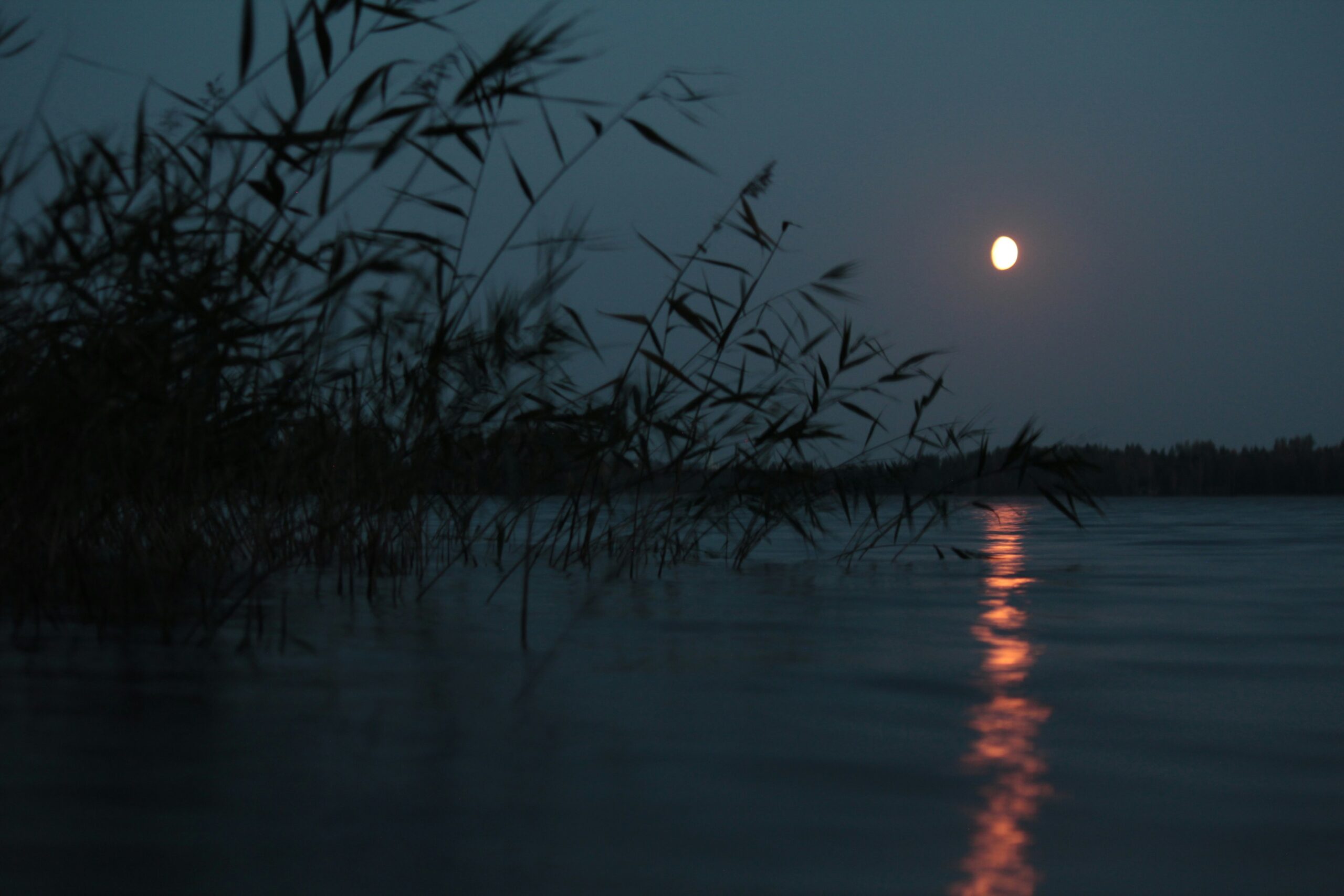 Tutkimus: Lohjan vetovoima rakentuu turvallisuudesta, luonnosta ja järvikaupunkitunnelmasta