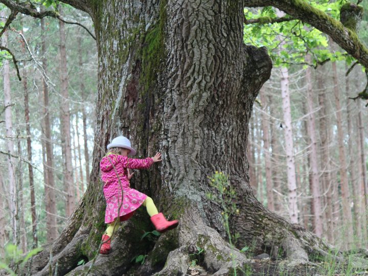 Seikkailu-urheilun EM-osakilpailu tuo Euroopan kestävyysurheilun kärjen Lohjalle kesällä 2026