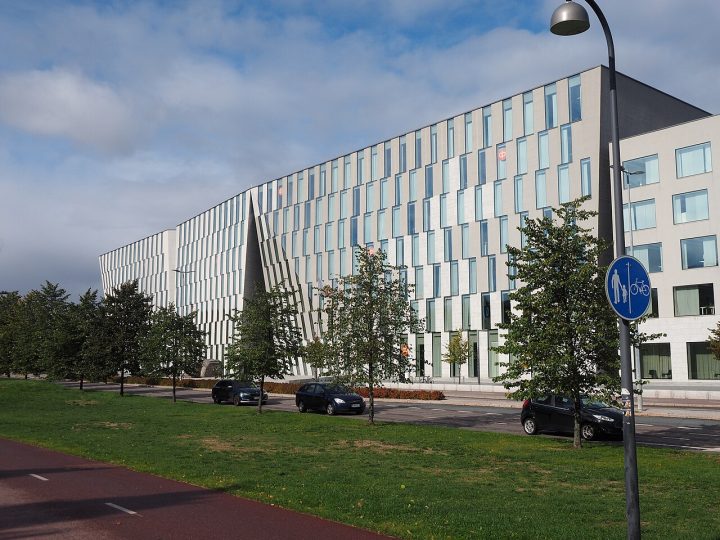 OP Uusimaa tuo 400 kesätyöpaikkaa nuorille – tuki ohjautuu myös Lohjan yhdistyksille