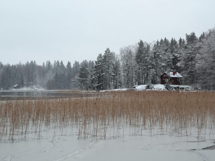 Lohjan uutiskatsaus 26.12.2025–4.1.2026: Hannes-myrskyn sähkökatkot, piikkimatolla päättynyt pakomatka ja osallistuva budjetointi – 10 poimintaa