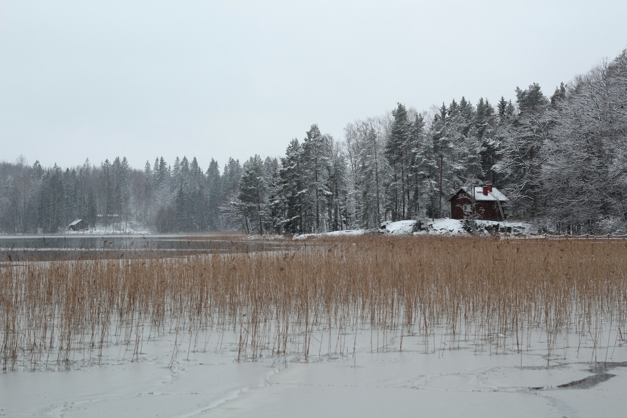 Lohjan uutiskatsaus 26.12.2025–4.1.2026: Hannes-myrskyn sähkökatkot, piikkimatolla päättynyt pakomatka ja osallistuva budjetointi – 10 poimintaa