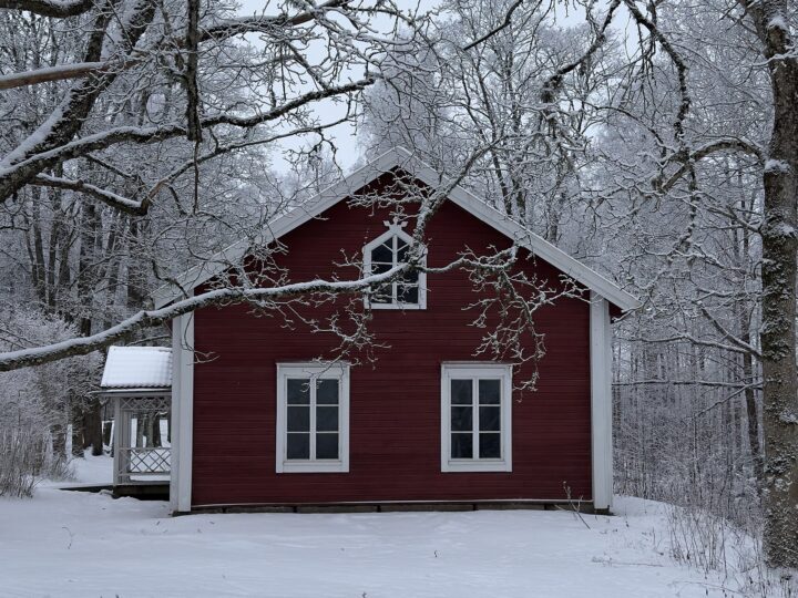 Lohjan menovinkit 4.2.2026: Neidonkeidas, Tytyri, kirjasto ja Kino Vaakuna – 10 poimintaa