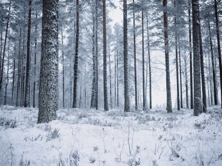 Ilmatieteen laitos listasi merialueille keltaisia varoituksia 15.2.2026 – vaikutukset näkyvät myös Länsi-Uudellamaalla