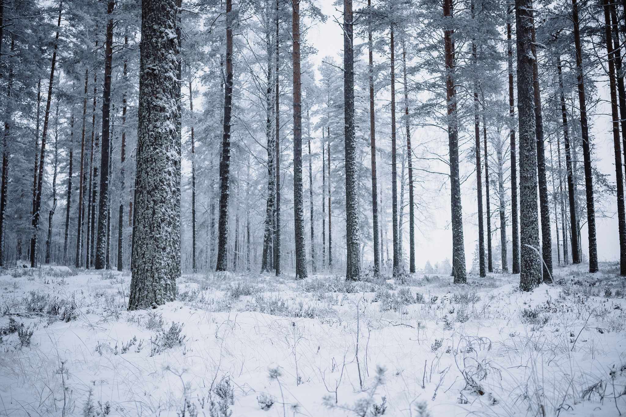 Ilmatieteen laitos listasi merialueille keltaisia varoituksia 15.2.2026 – vaikutukset näkyvät myös Länsi-Uudellamaalla