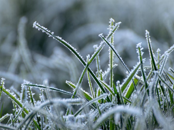 Pakkasaamu hiipii Lohjalle 30.3.2026 – kevät jatkuu, mutta alkuviikko alkaa kylmällä