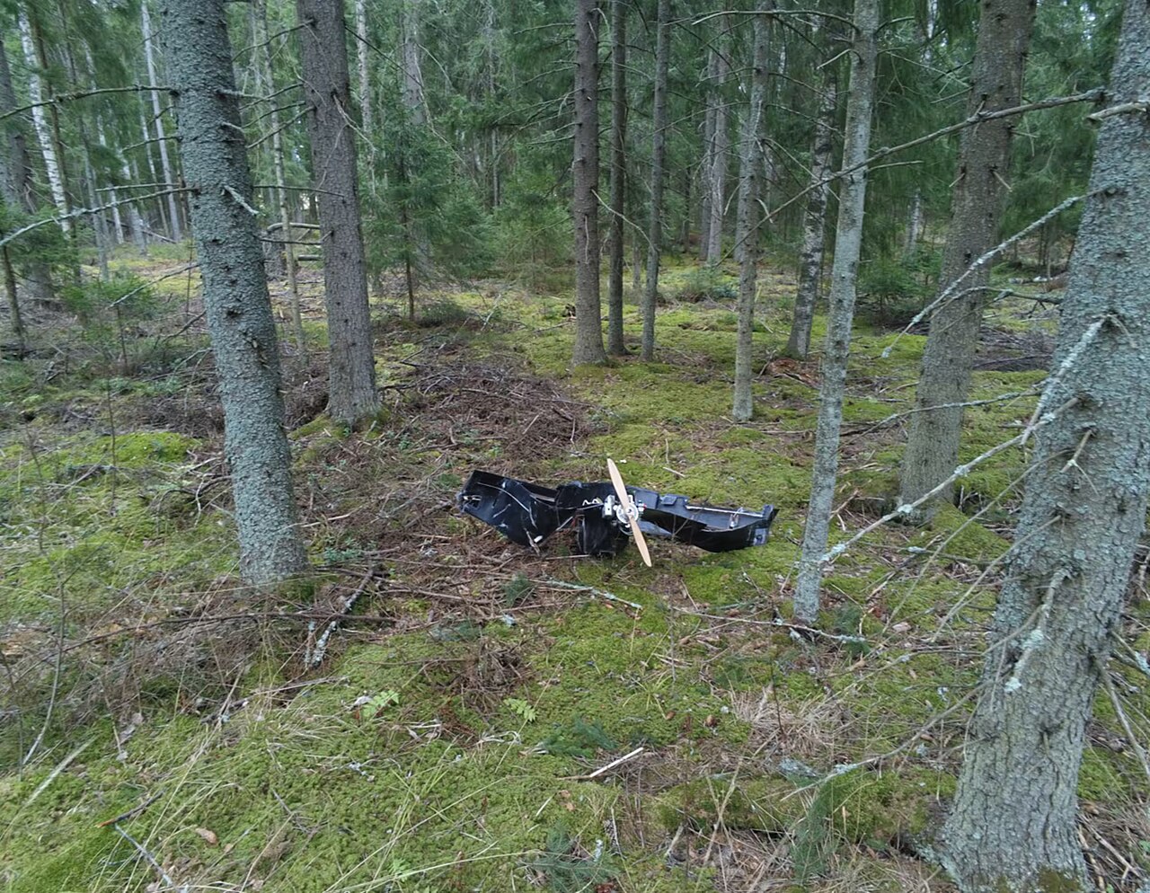 Droonikeskustelu osuu myös Lohjalle, koska mökkikunta elää metsäkauden alussa