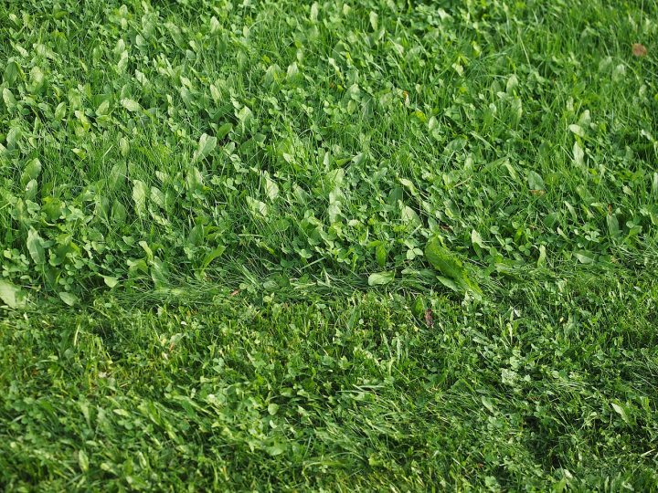 Maastopalovaroitus koski Uuttamaata 21.4.2026 – Lohjalla kuiva kevätsää vaati varovaisuutta