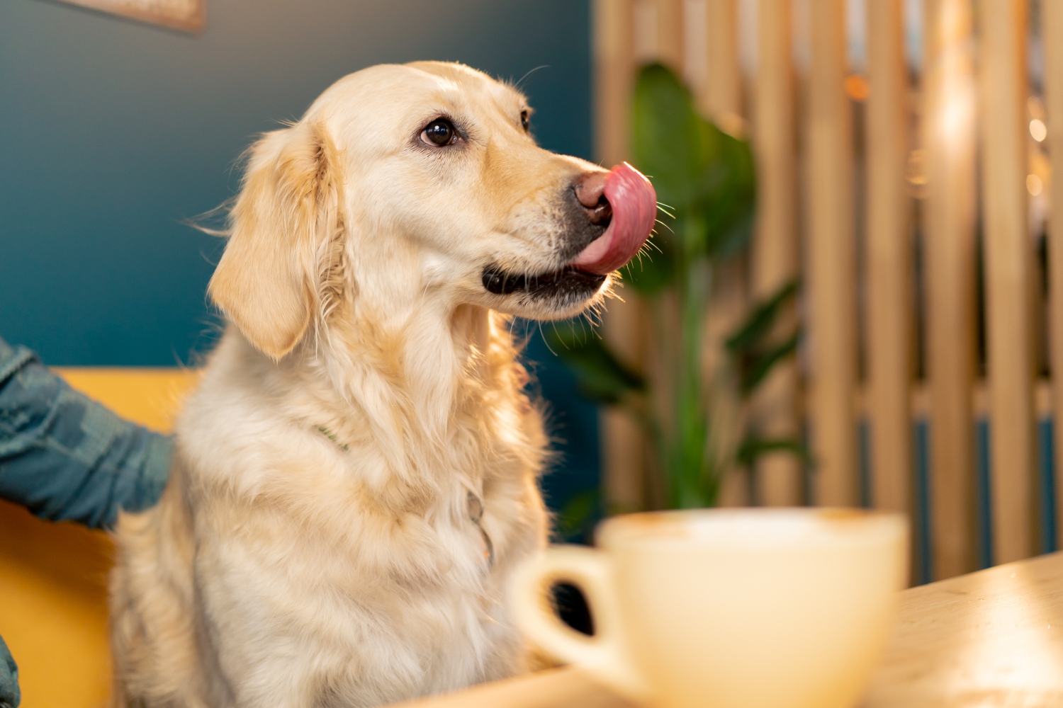 Lohjan menovinkit 18.4.2026: Pusulan salikilpailut, Tytyri, Salainen puutarha ja OJAMOSH 2 – 10 poimintaa