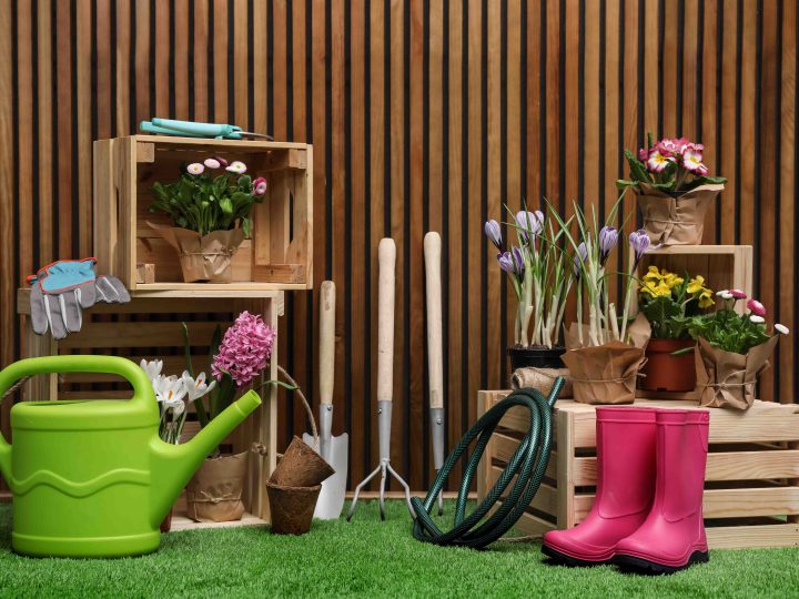 Lämmin maaliskuu käynnisti pihakauden etuajassa – ilmiö näkyy myös Lohjan arjessa