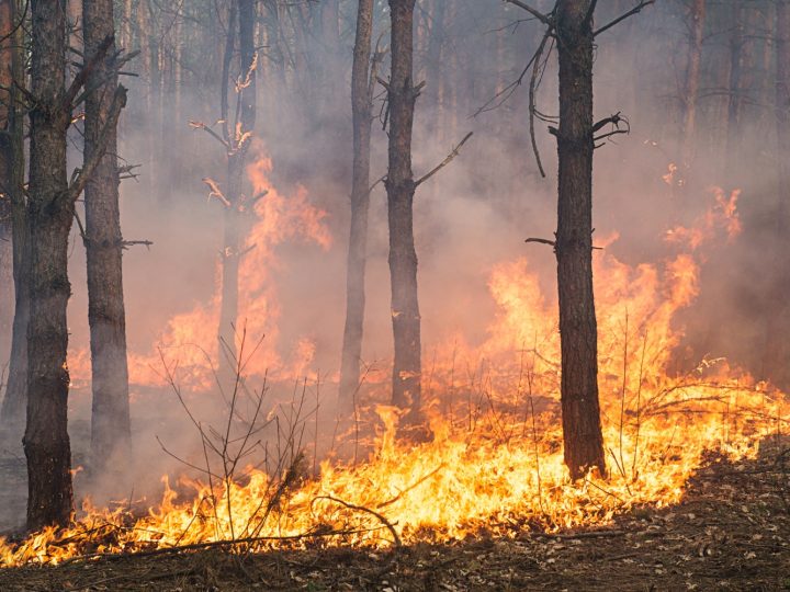 Lehtolantiellä paloi noin 15 aaria peltomaastoa Lohjalla – kuiva viikonloppu nosti riskin näkyväksi