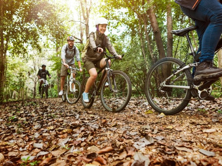 Lohjan menovinkit 25.4.2026: lintupäivä, Rohocon, Tytyri ja Tanhuhovin tanssit – 10 poimintaa