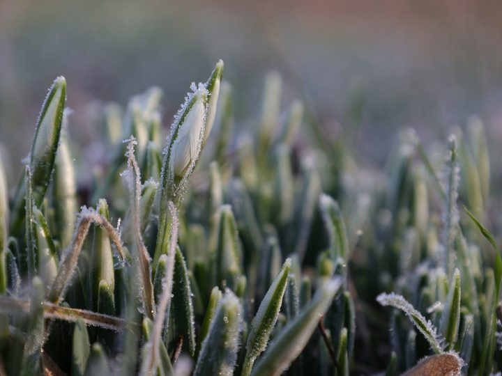 Lämmin sunnuntai ei poista Lohjan aamuliukkauden riskiä Tie 1:n suunnalla
