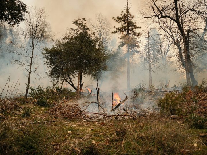 Lohjan maastopalohälytykset muistuttavat: kuiva kevät tekee piharoihusta riskin