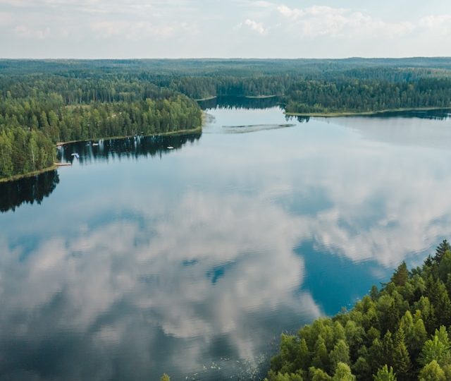 Uusi väitöstieto nostaa puustoiset viheralueet ilmastotyön ytimeen – havainto koskee myös Lohjan arkea