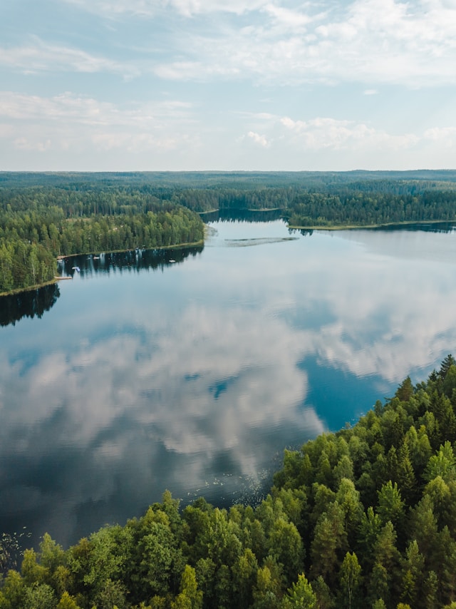 Uusi väitöstieto nostaa puustoiset viheralueet ilmastotyön ytimeen – havainto koskee myös Lohjan arkea