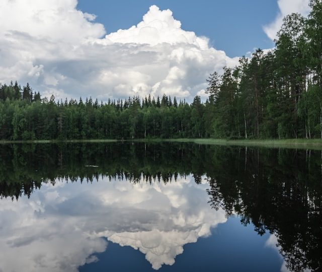 Lohjalla julki jokihelmisimpukkaa koskeva poikkeuslupa – harvinainen laji tuo virtavedet huomion keskelle