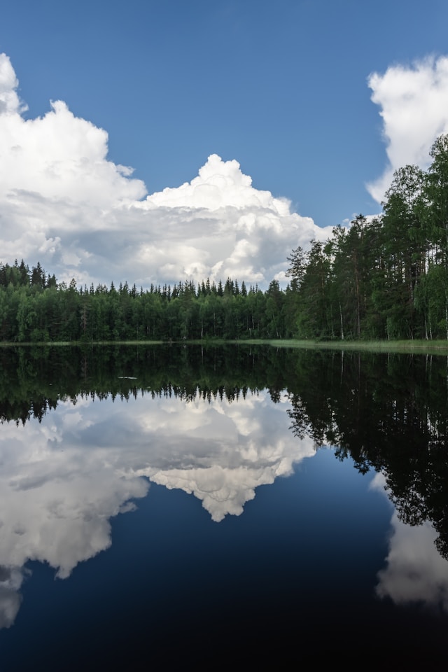 Lohjalla julki jokihelmisimpukkaa koskeva poikkeuslupa – harvinainen laji tuo virtavedet huomion keskelle