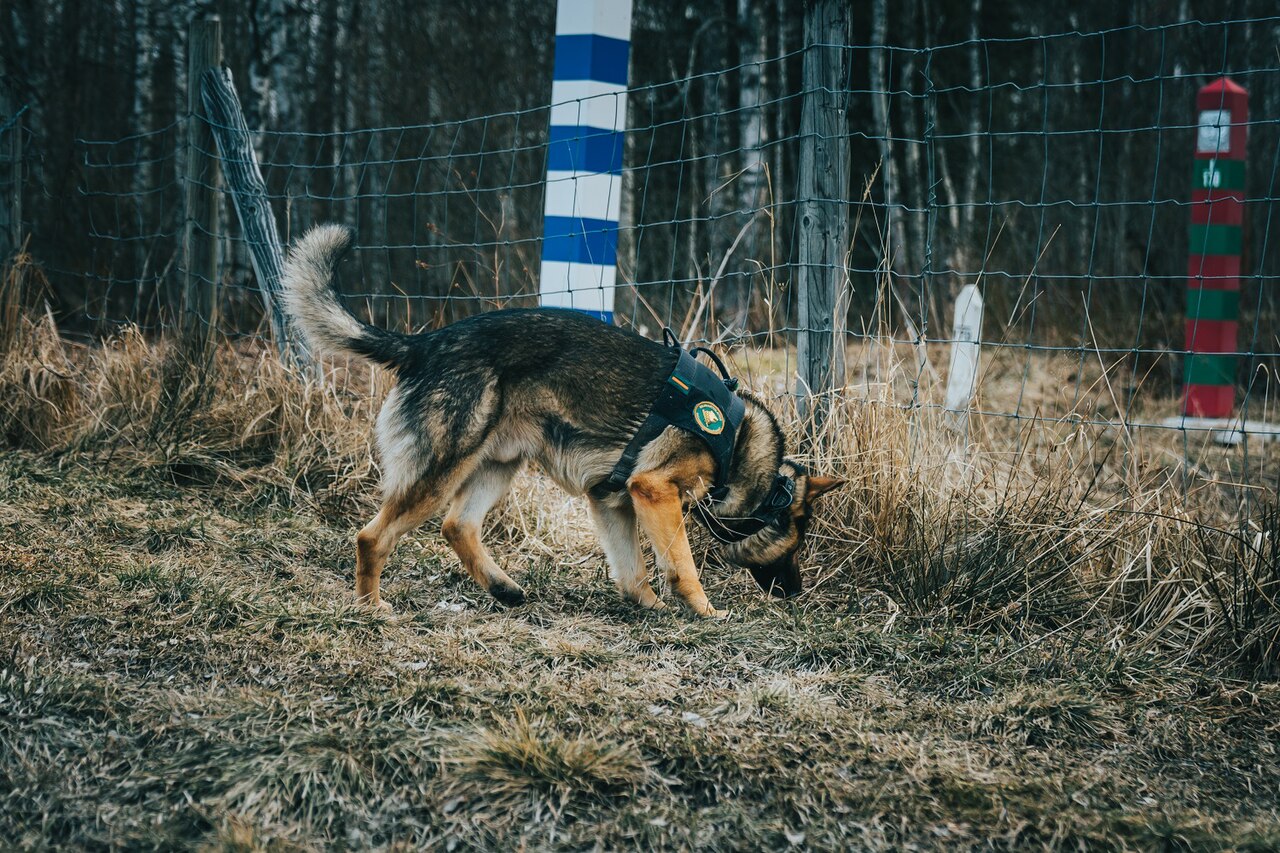 Rajavartiolaitokselle valmistellaan uusia keinoja vakavan rikollisuuden torjuntaan
