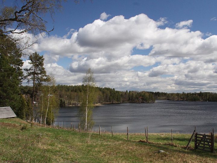 Lohja selvittää kesällä luontoarvoja Lehmijärvi-Pullin ja Ristenin alueilla