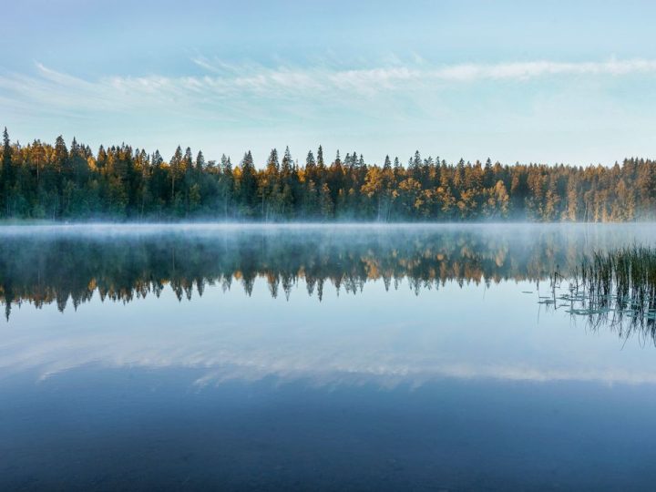 Luonnon tilaa parantava suunnitelma siirtyi lausuntokierrokselle