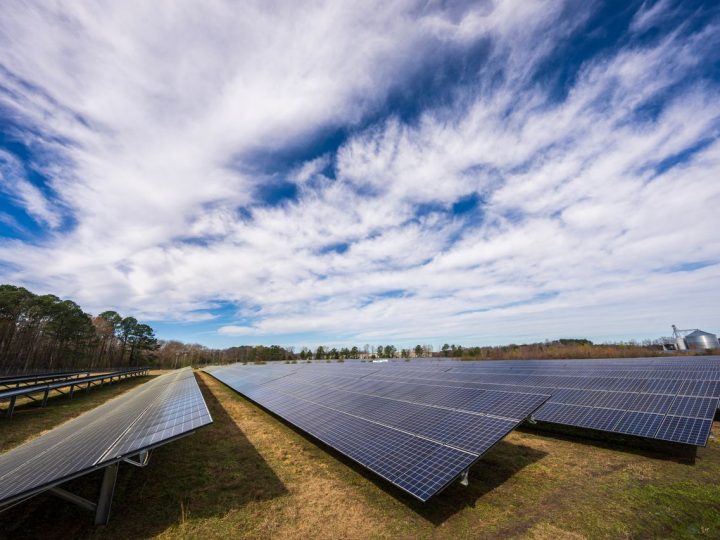 Braskin aurinkoenergia-alue etenee kaavaehdotukseksi – luonto ja valumavedet mukana arvioinnissa