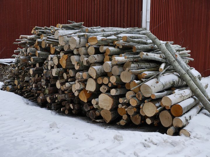 Kuitupuun hinta putoaa ennusteen mukaan neljänneksen, mutta puukaupan odotetaan vilkastuvan