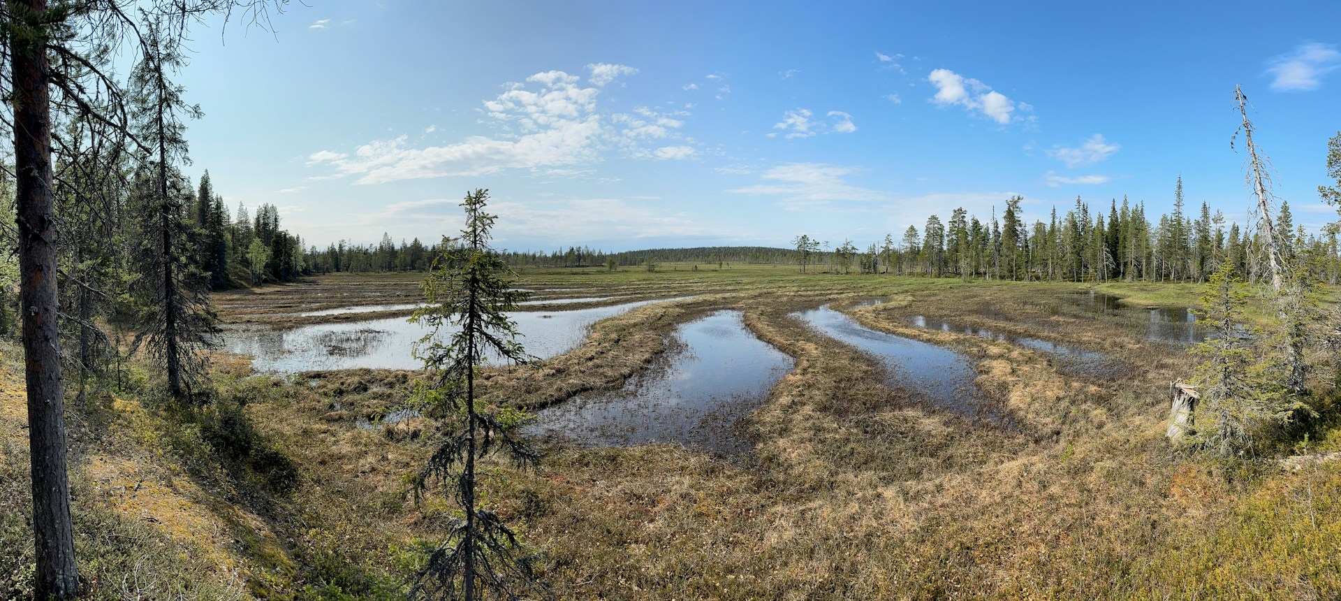 Ojien tukkiminen nosti vedenpintaa myös muualla suolla
